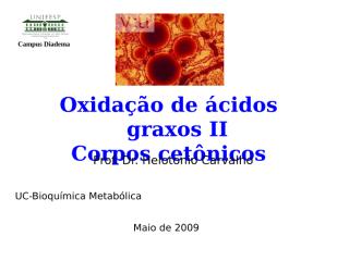 Oxidação de ácidos graxos II e corpos cetônicos.ppt